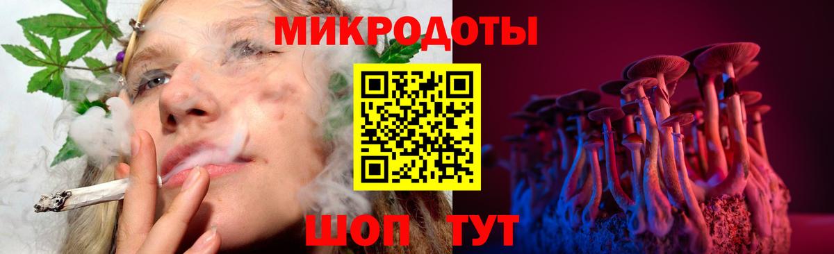 Псилоцибиновые грибы Cubensis Тосно