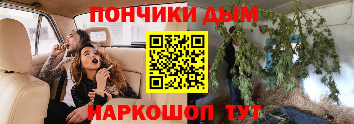 Канабис конопля Тосно